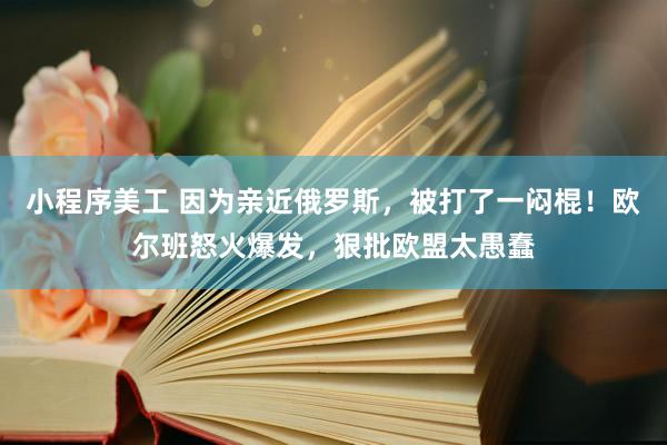 小程序美工 因为亲近俄罗斯，被打了一闷棍！欧尔班怒火爆发，狠批欧盟太愚蠢